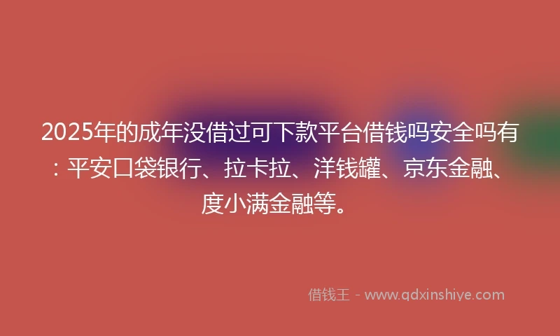 2025年的成年没借过可下款平台借钱吗安全吗有：平安口袋银行、拉卡拉、洋钱罐、京东金融、度小满金融等。