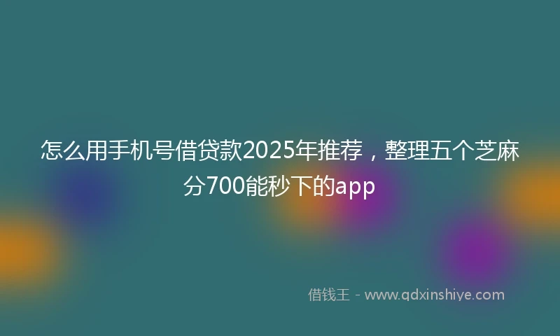 怎么用手机号借贷款2025年推荐，整理五个芝麻分700能秒下的app