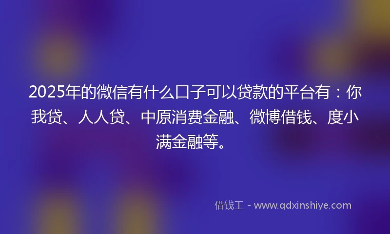 2025年的微信有什么口子可以贷款的平台有：你我贷、人人贷、中原消费金融、微博借钱、度小满金融等。