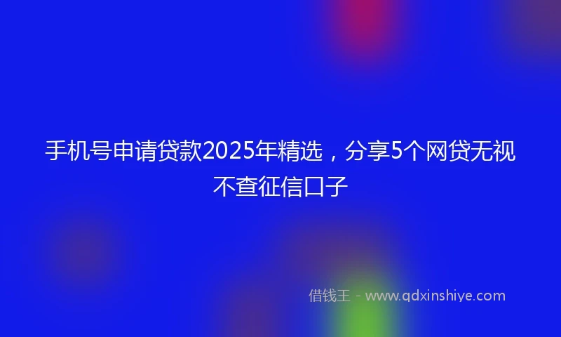 手机号申请贷款2025年精选，分享5个网贷无视不查征信口子
