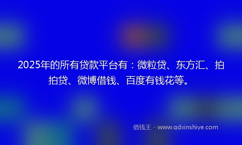 2025年的所有贷款平台有：微粒贷、东方汇、拍拍贷、微博借钱、百度有钱花等。