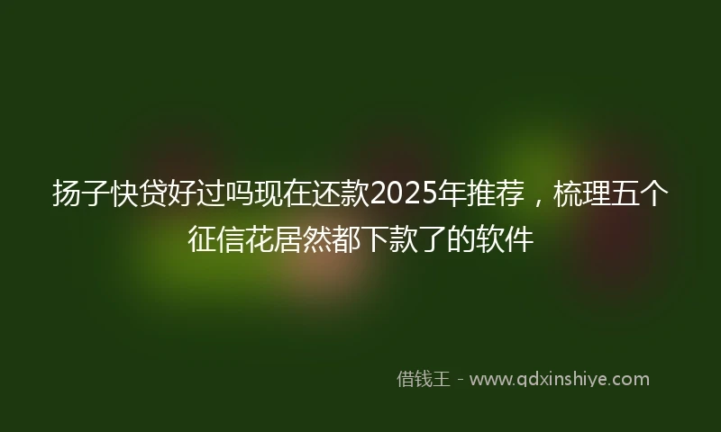 扬子快贷好过吗现在还款2025年推荐，梳理五个征信花居然都下款了的软件