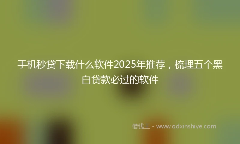 手机秒贷下载什么软件2025年推荐，梳理五个黑白贷款必过的软件