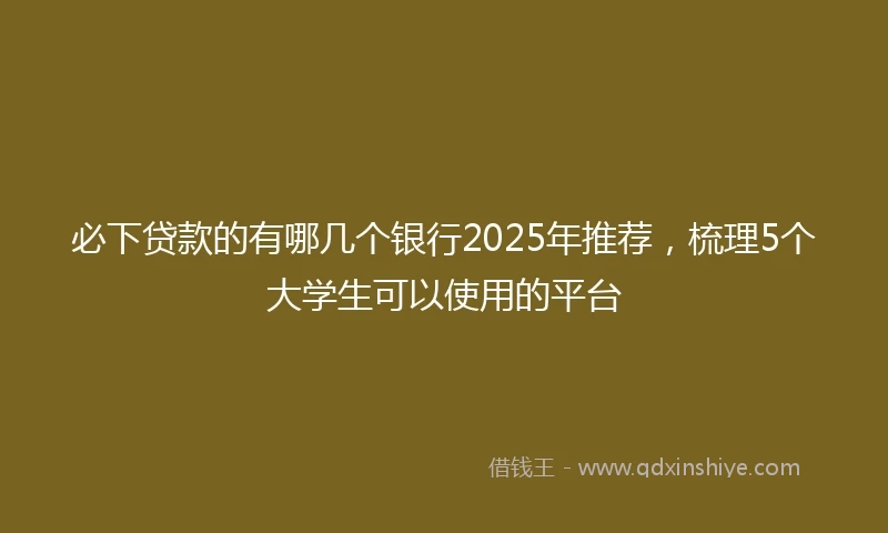 必下贷款的有哪几个银行2025年推荐，梳理5个大学生可以使用的平台