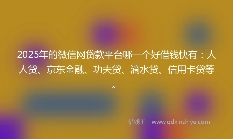 2025年的微信网贷款平台哪一个好借钱快有：人人贷、京东金融、功夫贷、滴水贷、信用卡贷等。