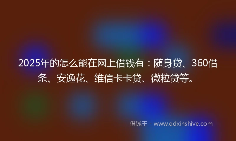 2025年的怎么能在网上借钱有：随身贷、360借条、安逸花、维信卡卡贷、微粒贷等。