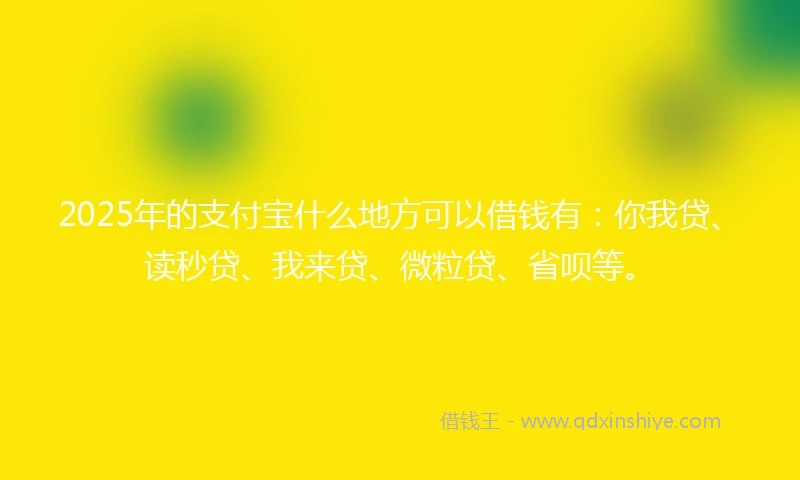 2025年的支付宝什么地方可以借钱有：你我贷、读秒贷、我来贷、微粒贷、省呗等。