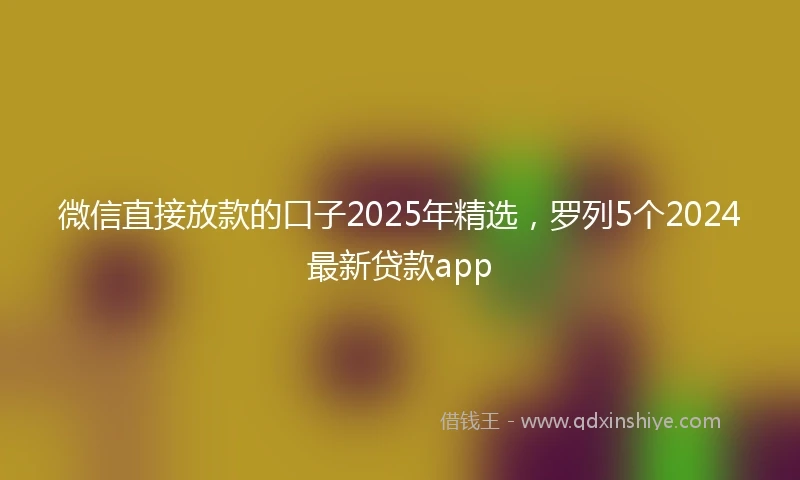 微信直接放款的口子2025年精选，罗列5个2024最新贷款app