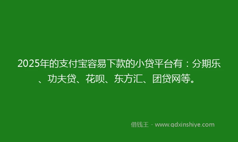 2025年的支付宝容易下款的小贷平台有：分期乐、功夫贷、花呗、东方汇、团贷网等。