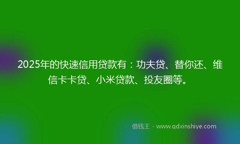 2025年的快速信用贷款有：功夫贷、替你还、维信卡卡贷、小米贷款、投友圈等。