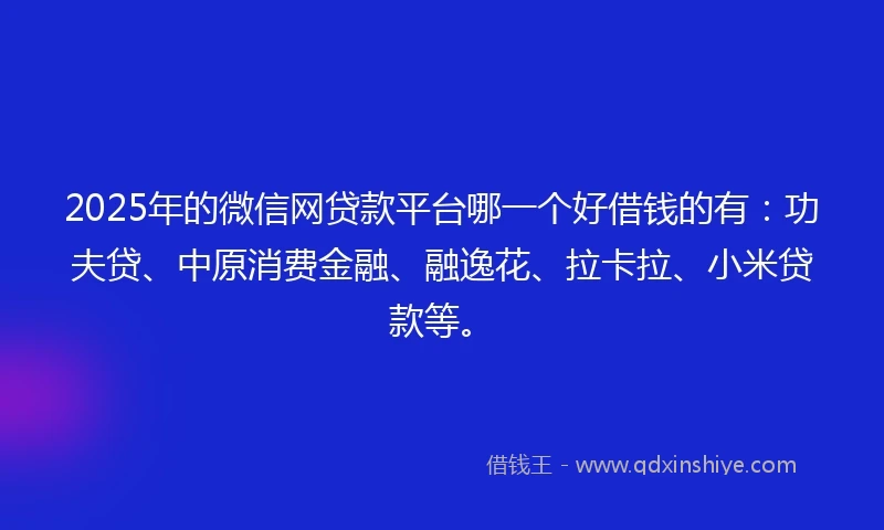 2025年的微信网贷款平台哪一个好借钱的有：功夫贷、中原消费金融、融逸花、拉卡拉、小米贷款等。