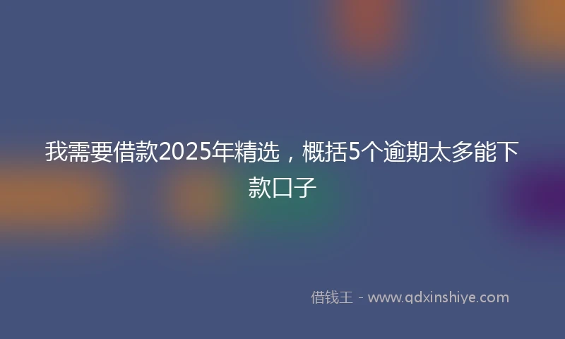 我需要借款2025年精选，概括5个逾期太多能下款口子