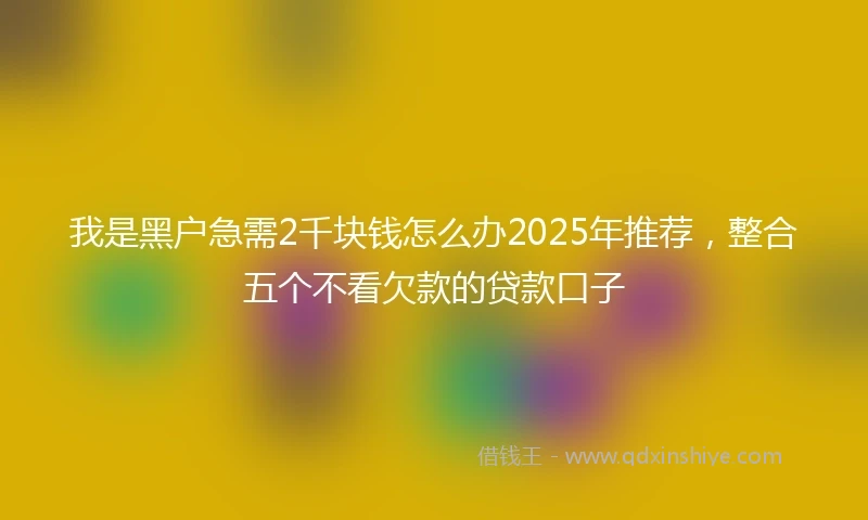 我是黑户急需2千块钱怎么办2025年推荐，整合五个不看欠款的贷款口子