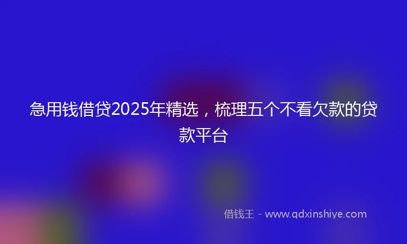 急用钱借贷2025年精选，梳理五个不看欠款的贷款平台