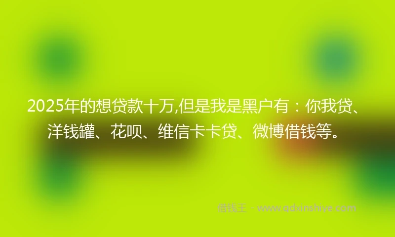 2025年的想贷款十万,但是我是黑户有：你我贷、洋钱罐、花呗、维信卡卡贷、微博借钱等。