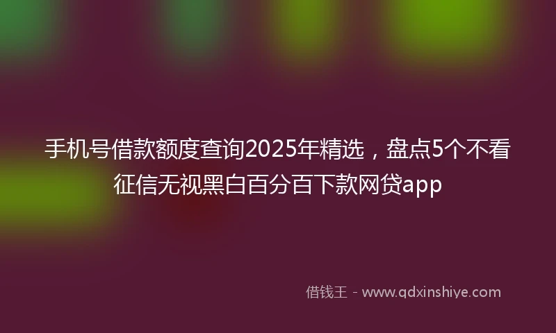 手机号借款额度查询2025年精选，盘点5个不看征信无视黑白百分百下款网贷app