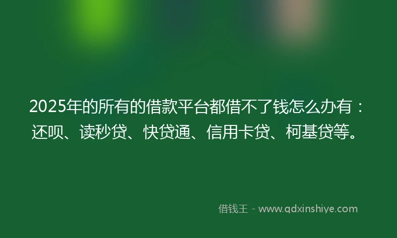 2025年的所有的借款平台都借不了钱怎么办有：还呗、读秒贷、快贷通、信用卡贷、柯基贷等。