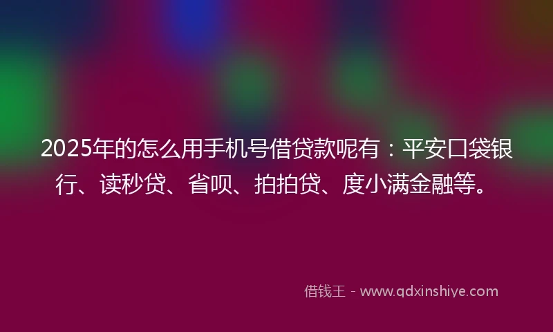 2025年的怎么用手机号借贷款呢有：平安口袋银行、读秒贷、省呗、拍拍贷、度小满金融等。