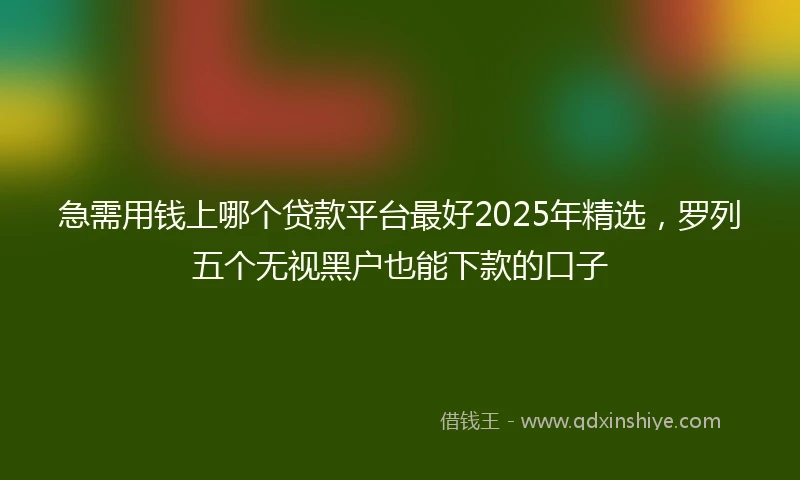 急需用钱上哪个贷款平台最好2025年精选，罗列五个无视黑户也能下款的口子