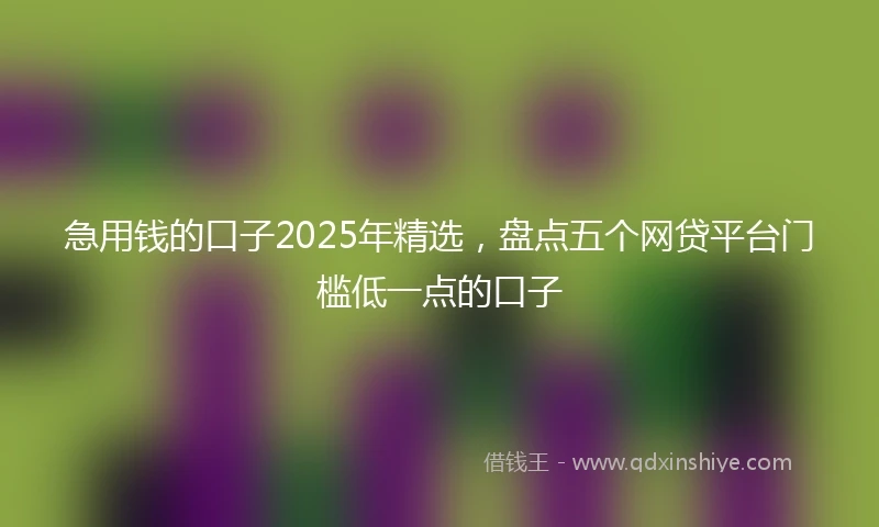 急用钱的口子2025年精选，盘点五个网贷平台门槛低一点的口子