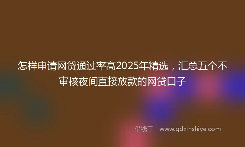 怎样申请网贷通过率高2025年精选，汇总五个不审核夜间直接放款的网贷口子
