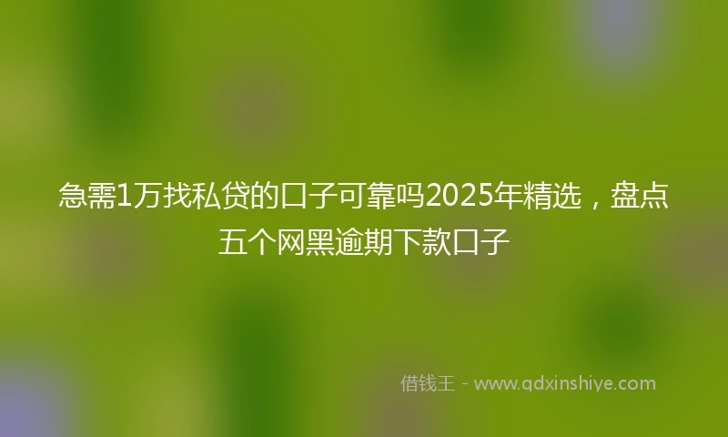 急需1万找私贷的口子可靠吗2025年精选，盘点五个网黑逾期下款口子