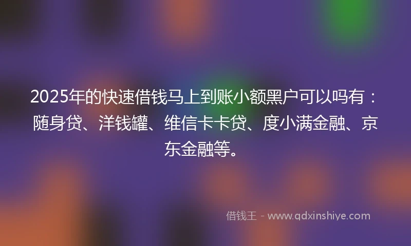 2025年的快速借钱马上到账小额黑户可以吗有：随身贷、洋钱罐、维信卡卡贷、度小满金融、京东金融等。
