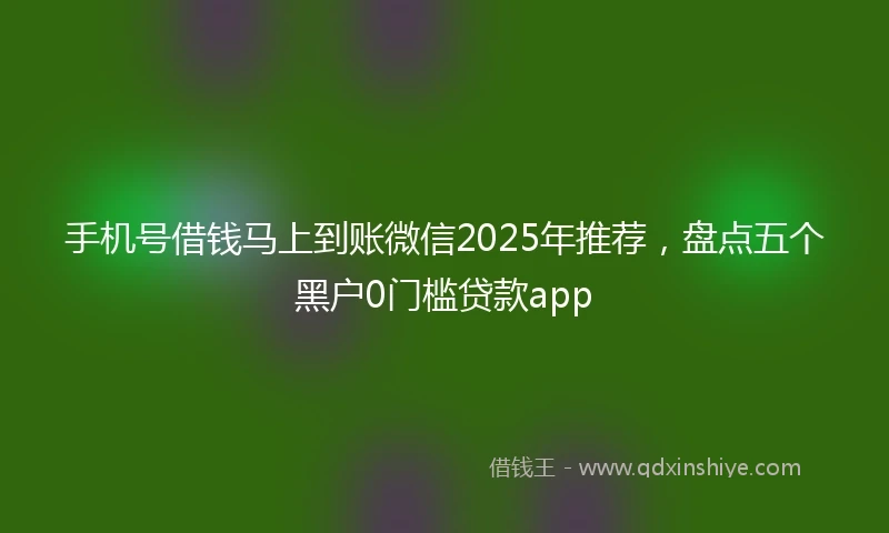 手机号借钱马上到账微信2025年推荐，盘点五个黑户0门槛贷款app