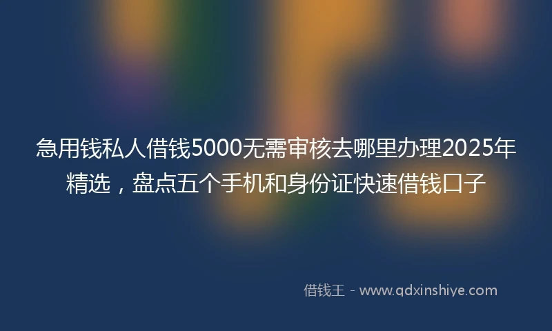 急用钱私人借钱5000无需审核去哪里办理2025年精选，盘点五个手机和身份证快速借钱口子