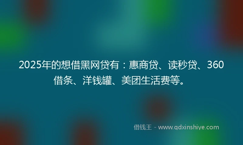2025年的想借黑网贷有：惠商贷、读秒贷、360借条、洋钱罐、美团生活费等。