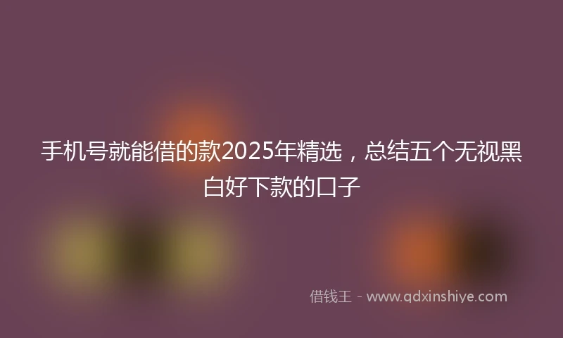 手机号就能借的款2025年精选，总结五个无视黑白好下款的口子