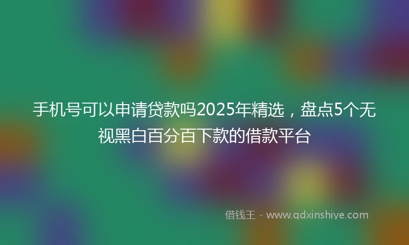 手机号可以申请贷款吗2025年精选，盘点5个无视黑白百分百下款的借款平台