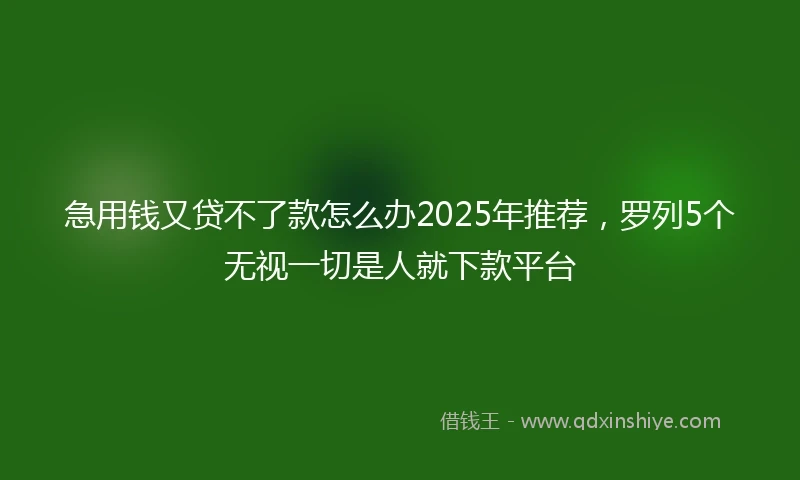 急用钱又贷不了款怎么办2025年推荐，罗列5个无视一切是人就下款平台