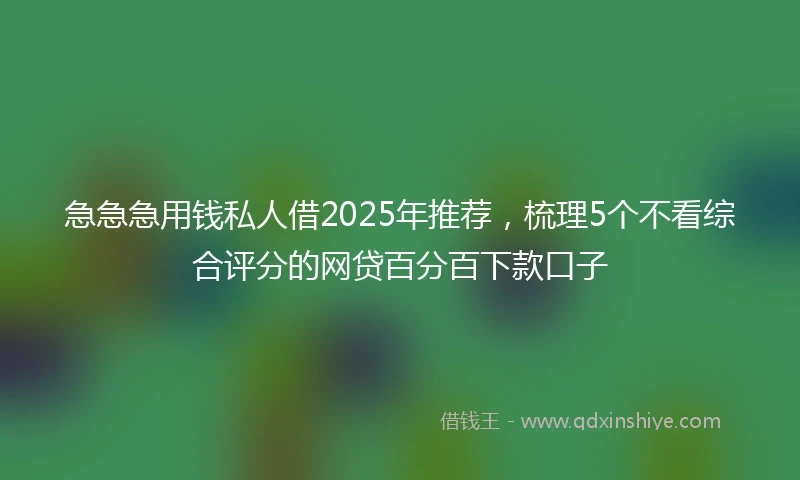 急急急用钱私人借2025年推荐，梳理5个不看综合评分的网贷百分百下款口子