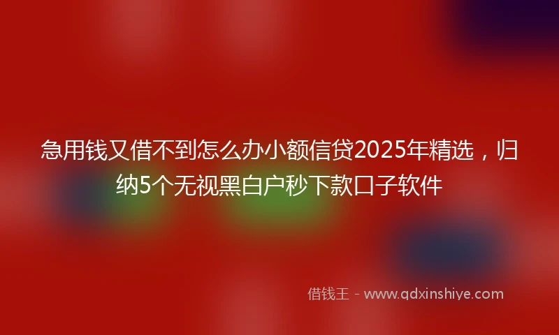 急用钱又借不到怎么办小额信贷2025年精选，归纳5个无视黑白户秒下款口子软件