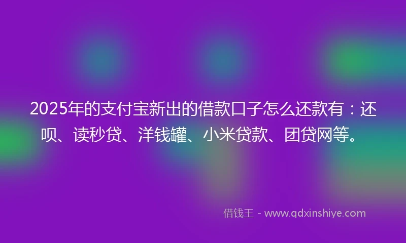 2025年的支付宝新出的借款口子怎么还款有：还呗、读秒贷、洋钱罐、小米贷款、团贷网等。