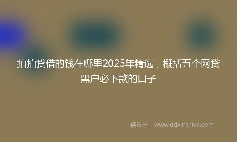 拍拍贷借的钱在哪里2025年精选，概括五个网贷黑户必下款的口子