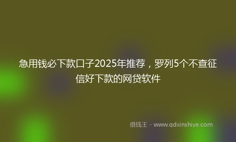 急用钱必下款口子2025年推荐，罗列5个不查征信好下款的网贷软件