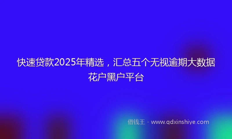 快速贷款2025年精选，汇总五个无视逾期大数据花户黑户平台