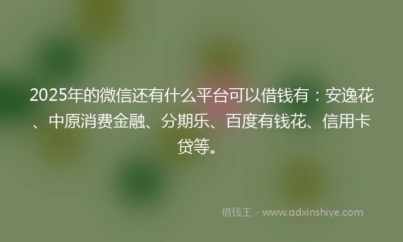2025年的微信还有什么平台可以借钱有：安逸花、中原消费金融、分期乐、百度有钱花、信用卡贷等。
