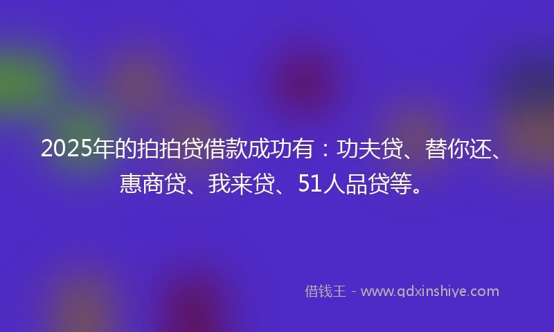 2025年的拍拍贷借款成功有：功夫贷、替你还、惠商贷、我来贷、51人品贷等。