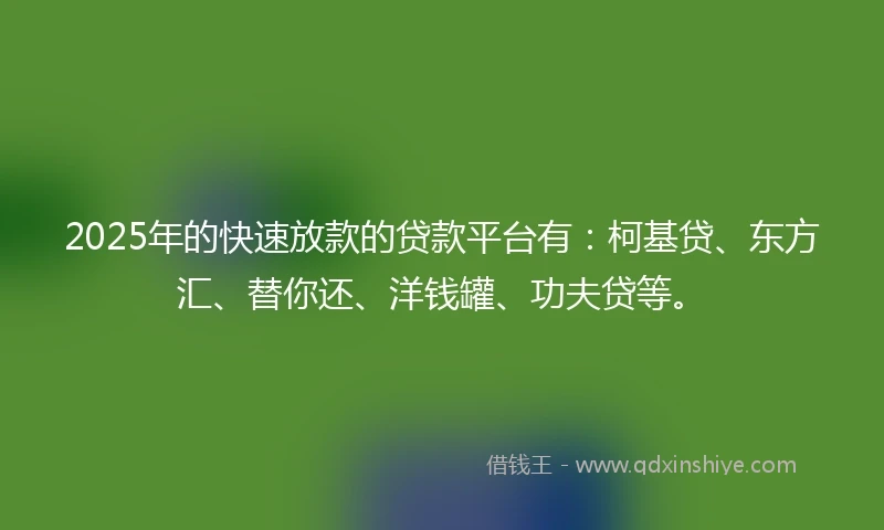 2025年的快速放款的贷款平台有：柯基贷、东方汇、替你还、洋钱罐、功夫贷等。