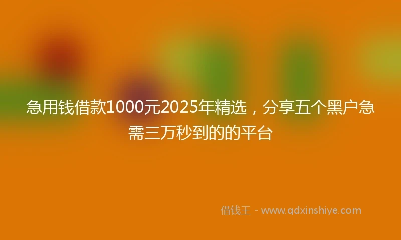 急用钱借款1000元2025年精选，分享五个黑户急需三万秒到的的平台