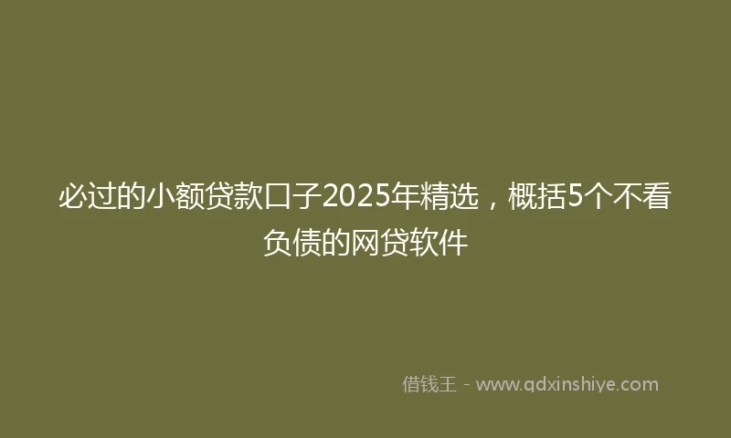 必过的小额贷款口子2025年精选，概括5个不看负债的网贷软件