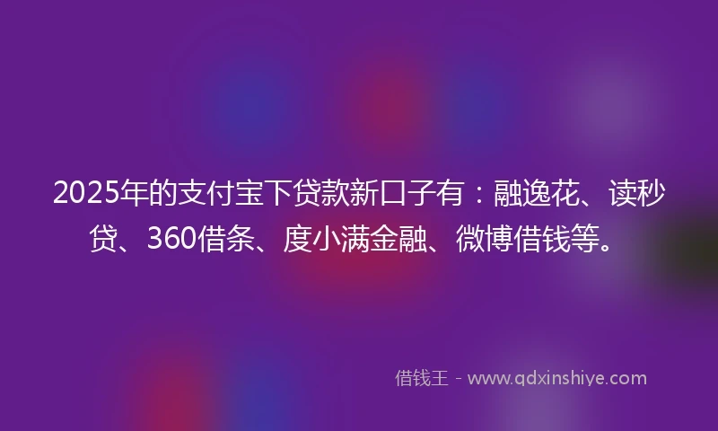 2025年的支付宝下贷款新口子有：融逸花、读秒贷、360借条、度小满金融、微博借钱等。