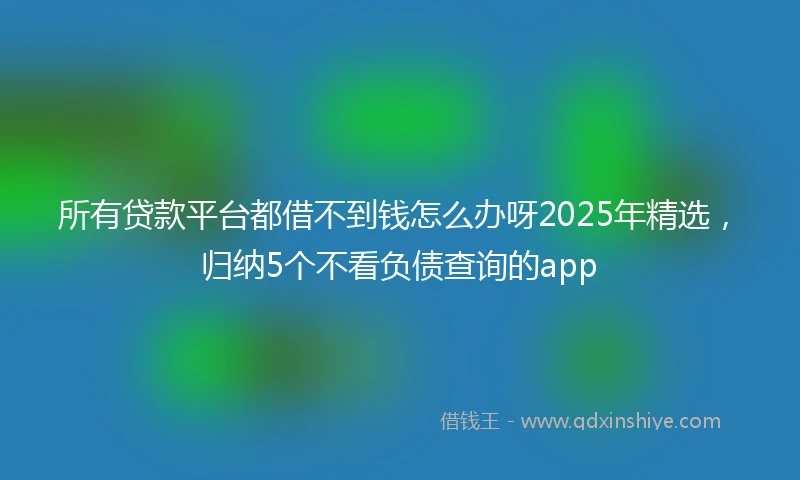 所有贷款平台都借不到钱怎么办呀2025年精选，归纳5个不看负债查询的app