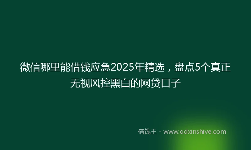 微信哪里能借钱应急2025年精选，盘点5个真正无视风控黑白的网贷口子