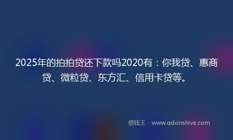 2025年的拍拍贷还下款吗2020有：你我贷、惠商贷、微粒贷、东方汇、信用卡贷等。