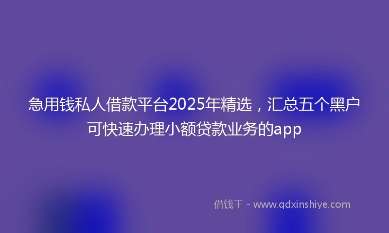 急用钱私人借款平台2025年精选，汇总五个黑户可快速办理小额贷款业务的app