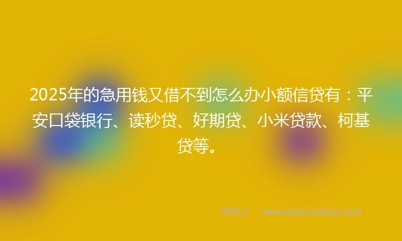 2025年的急用钱又借不到怎么办小额信贷有：平安口袋银行、读秒贷、好期贷、小米贷款、柯基贷等。
